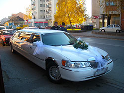 Slika 12