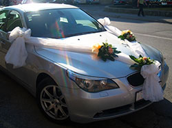 Slika 17