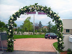 Slika 6